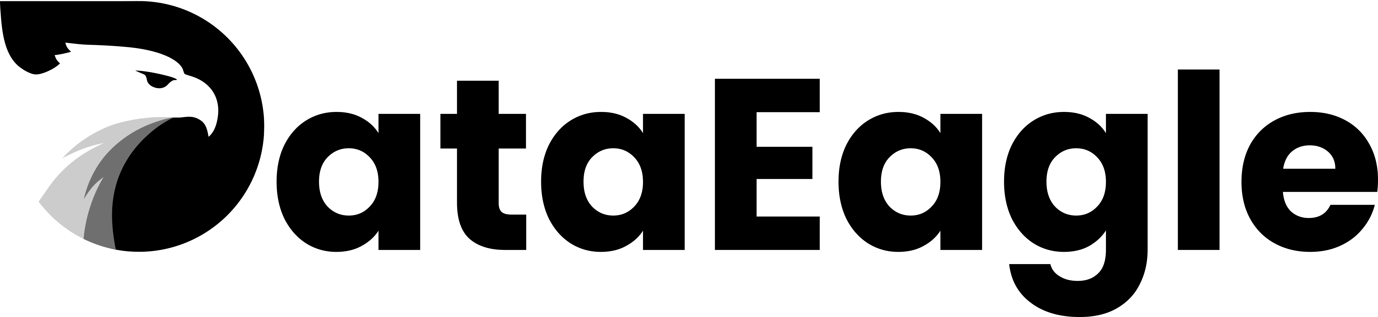 DataEagle logo
